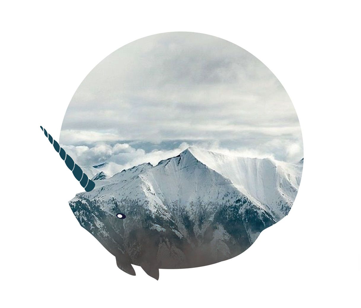 n2 instagram 1 f776986c